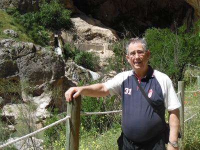 fotos de olivares