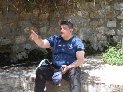 fotos de olivares