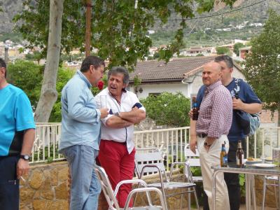 fotos de olivares