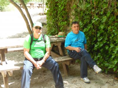 fotos de olivares
