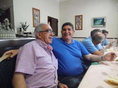 fotos de olivares