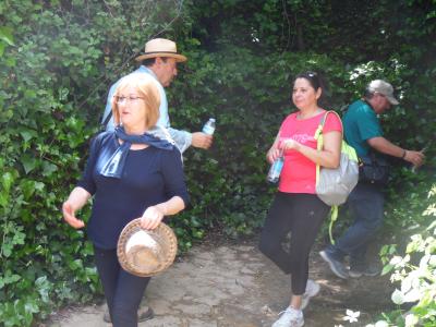 FOTOS DE OLIVARES