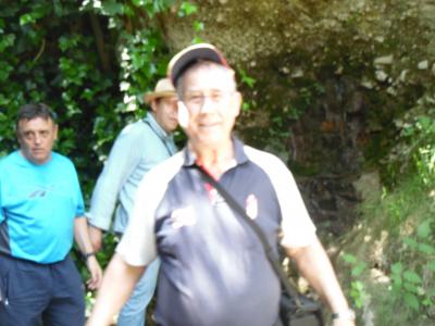 FOTOS DE OLIVARES