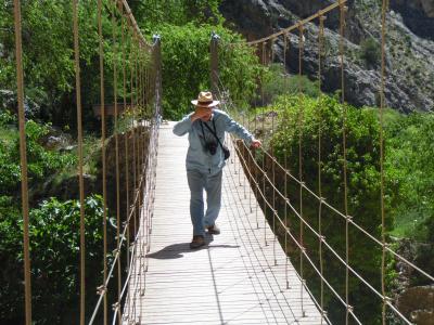 fotos de olivares