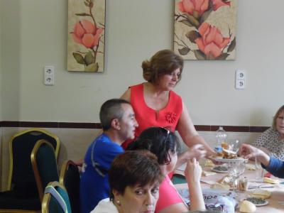 fotos de olivares