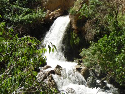 fotos en olivares