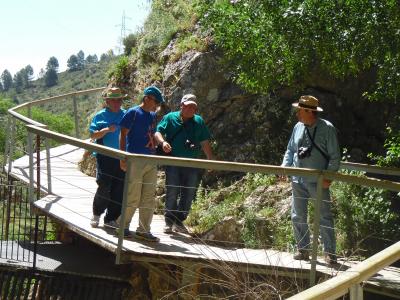fotos en olivares